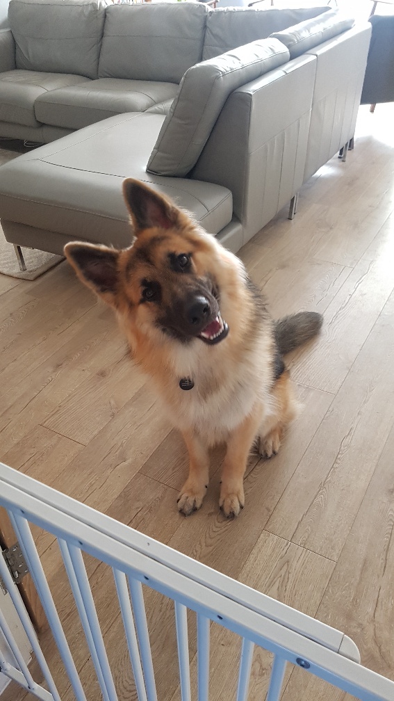 Jago in Bedfordshire